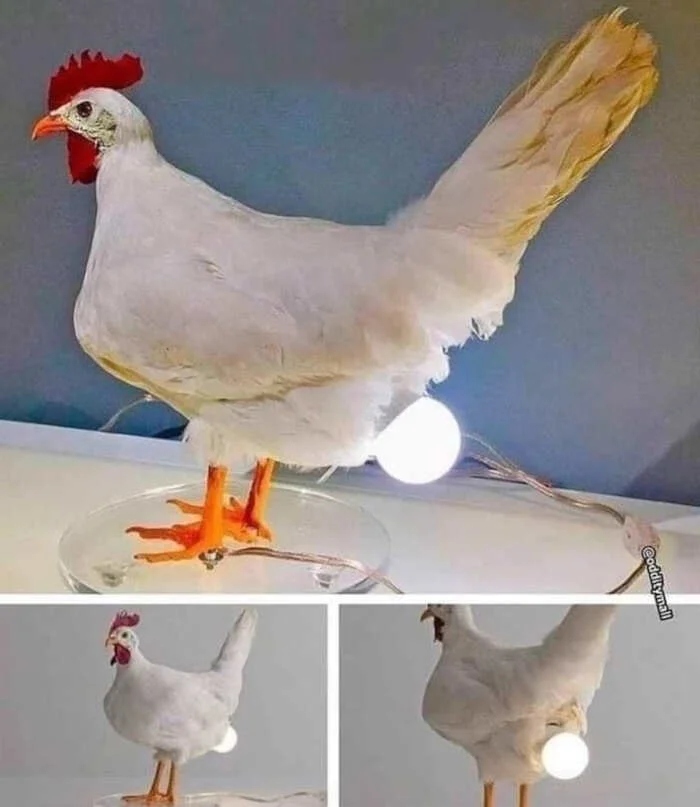 Weird Designs And Constructions (21 pics)