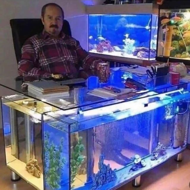 Weird Designs And Constructions (21 pics)