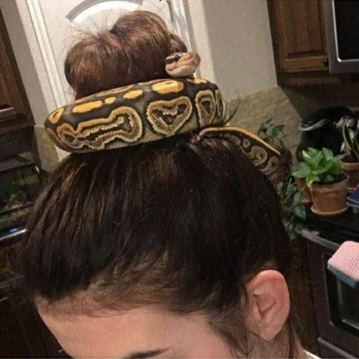 Daily Pictures. Part 1 (67 pics)