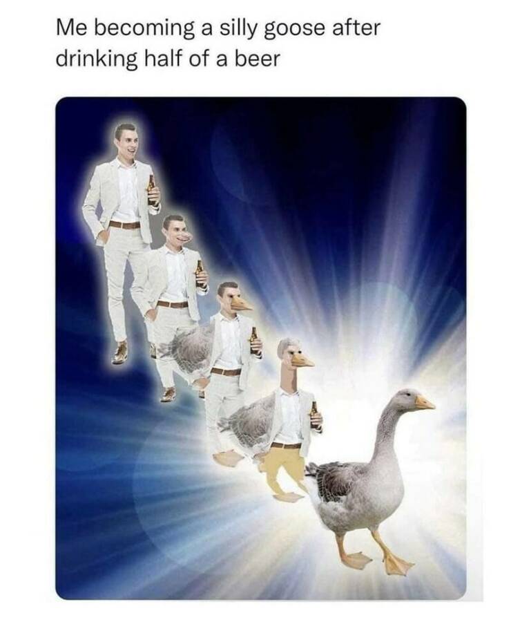 Daily Pictures. Part 2 (66 pics)