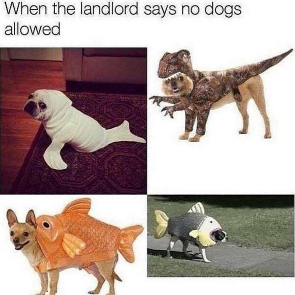Daily Pictures. Part 2 (66 pics)
