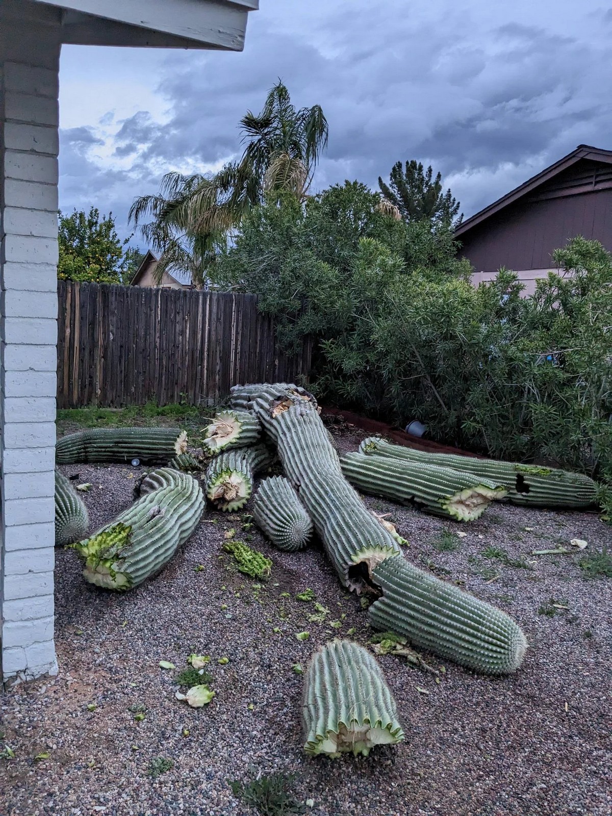 Bad Days Happen (21 pics)
