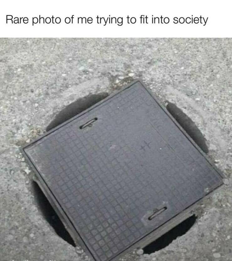 Daily Pictures. Part 2 (59 pics)