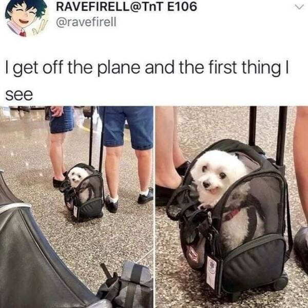 Daily Pictures. Part 2 (59 pics)