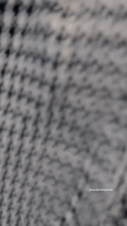 Acid GIFs, January 23 (25 gifs) Acid GIFs, January 23 (25 gifs)