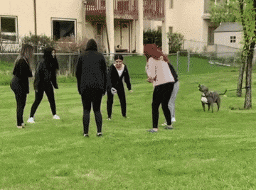 Acid GIFs, January 23 (25 gifs) Acid GIFs, January 23 (25 gifs)