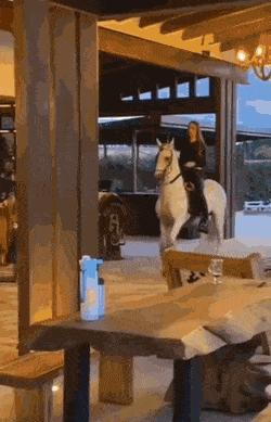 Acid GIFs, January 23 (25 gifs) Acid GIFs, January 23 (25 gifs)