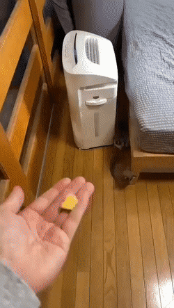 Acid GIFs, January 23 (25 gifs) Acid GIFs, January 23 (25 gifs)