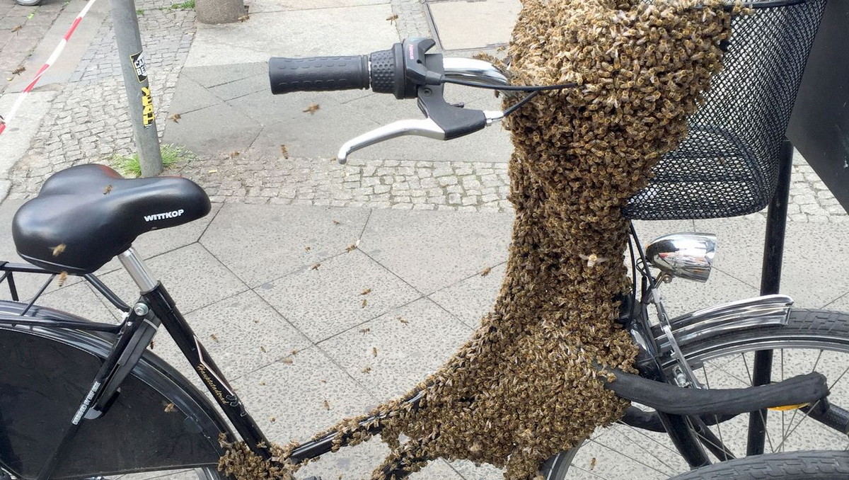Bad Days Happen (26 pics)