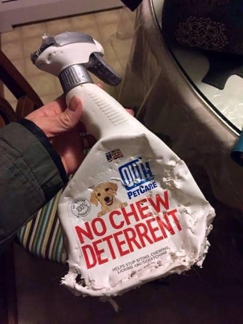Epic Fails (15 pics)