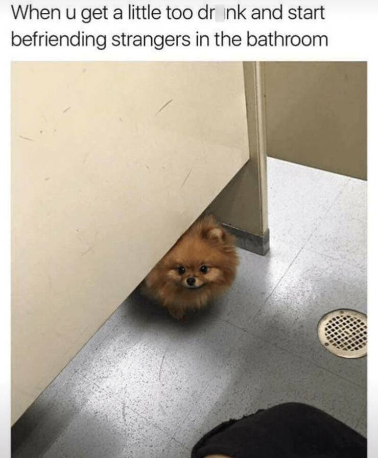 Daily Pictures. Part 2 (59 pics)