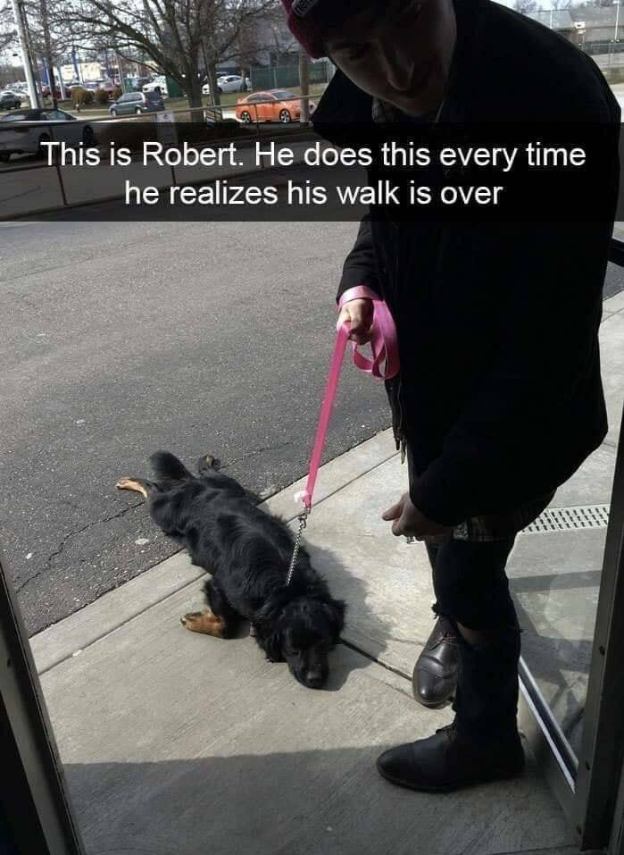 Daily Pictures. Part 2 (57 pics)