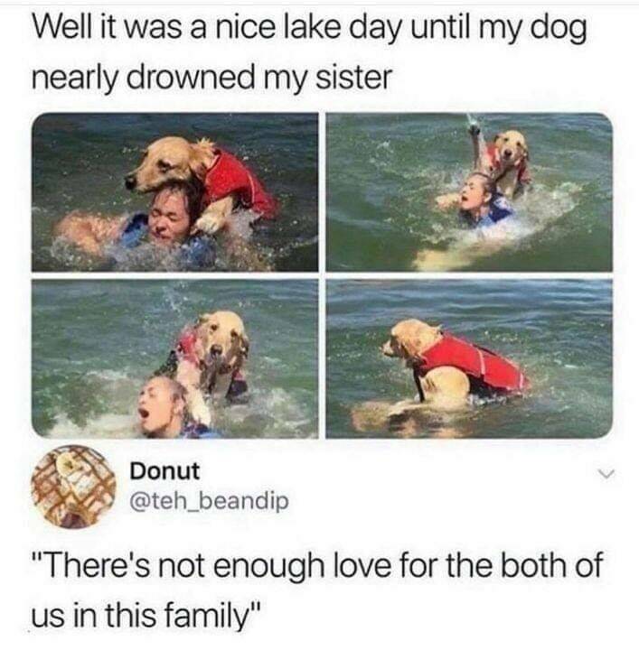 Daily Pictures. Part 2 (57 pics)
