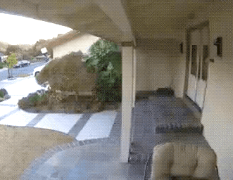 Acid GIFs, January 27 (25 gifs) Acid GIFs, January 27 (25 gifs)