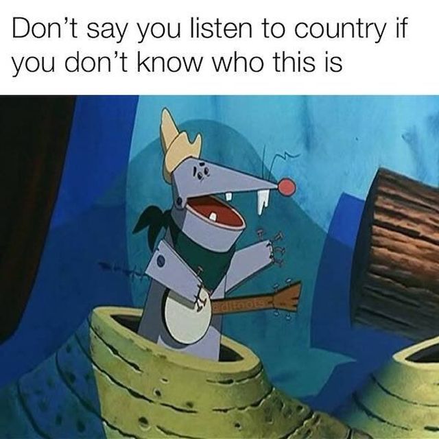 Memes For Country Music Fans (14 pics)