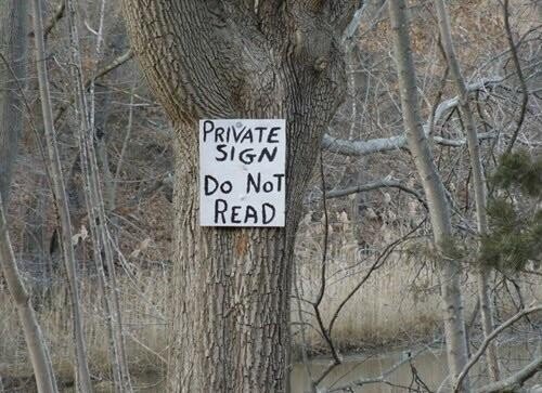 They Don't Care About Rules (15 pics)