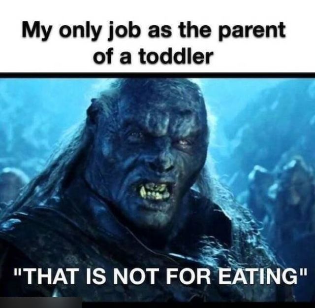 Memes For ''The Lord Of The Rings Fans'' (20 pics)