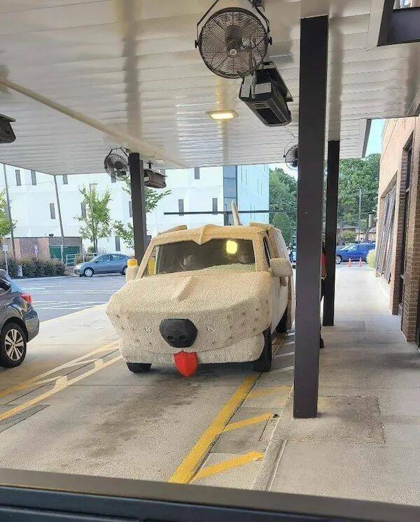 Daily Pictures. Part 1 (58 pics)
