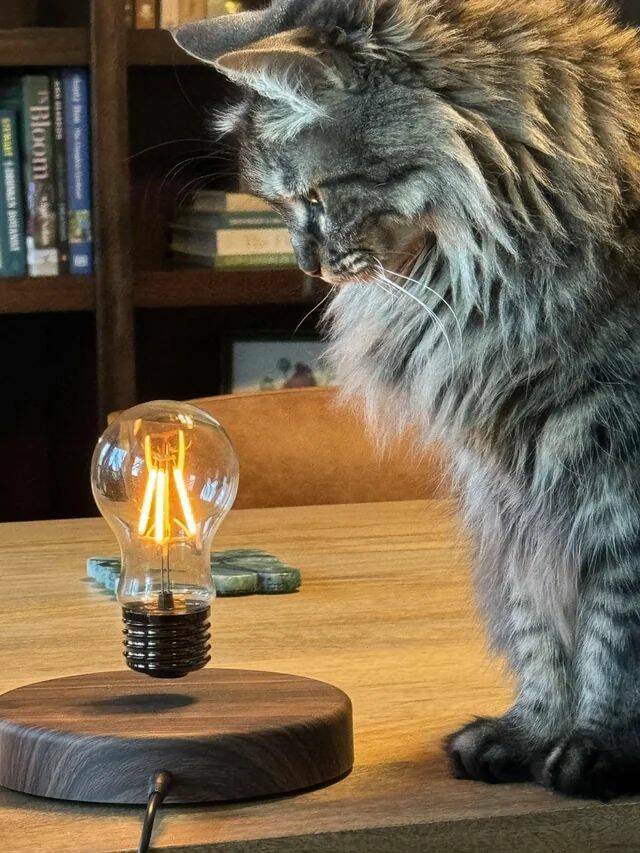 Daily Pictures. Part 1 (58 pics)