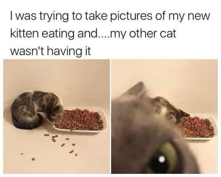 Daily Pictures. Part 2 (57 pics)