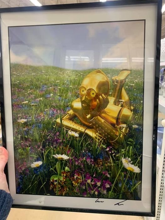 Strange Finds In Thrift Shops (16 pics)