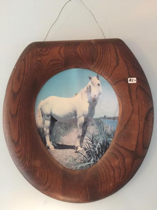 Strange Finds In Thrift Shops (16 pics)