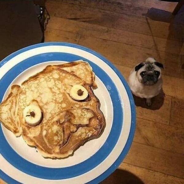 What Is Going On Here? (15 pics)
