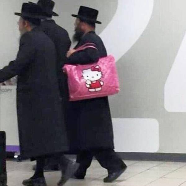 What Is Going On Here? (15 pics)