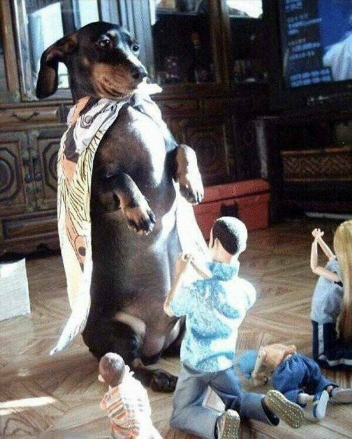 What Is Going On Here? (15 pics)