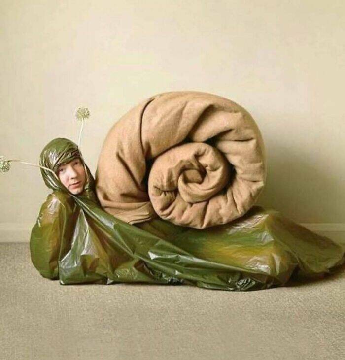 What Is Going On Here? (15 pics)