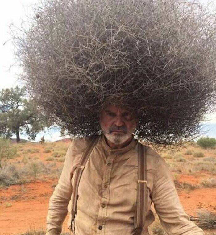 What Is Going On Here? (15 pics)