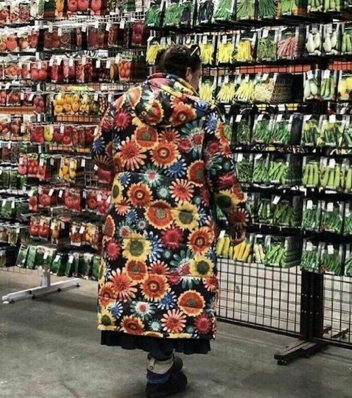 What Is Going On Here? (15 pics)