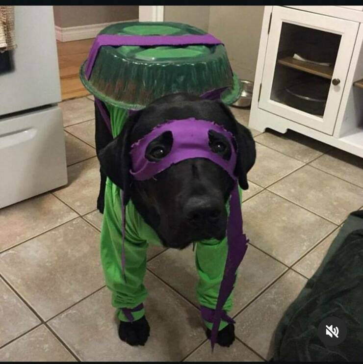 Daily Pictures. Part 2 (59 pics)