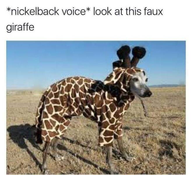 Daily Pictures. Part 2 (59 pics)
