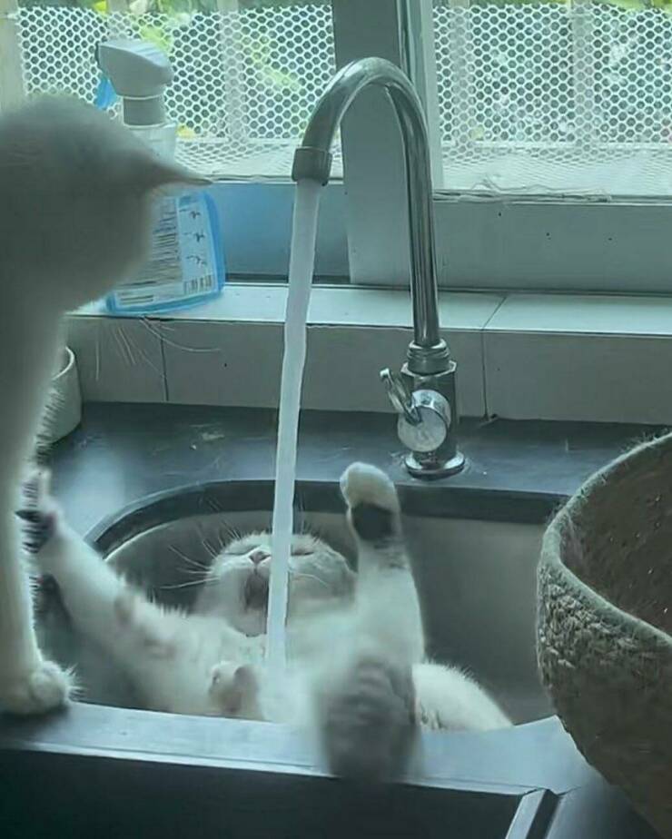 Daily Pictures. Part 2 (59 pics)