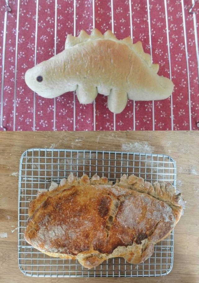 Expectations Against Reality (18 pics)