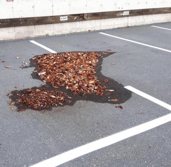 Failed Designs And Constructions (17 pics)