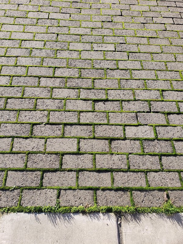 Photos For Perfectionists (19 pics)