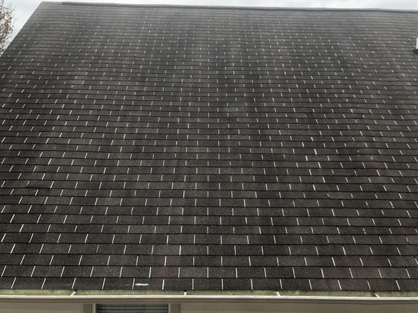 Photos For Perfectionists (19 pics)