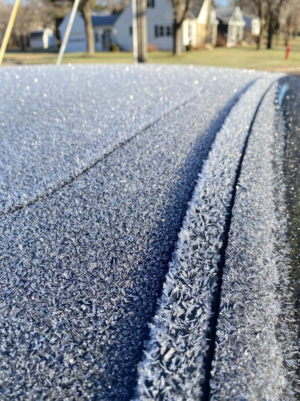 Photos For Perfectionists (19 pics)