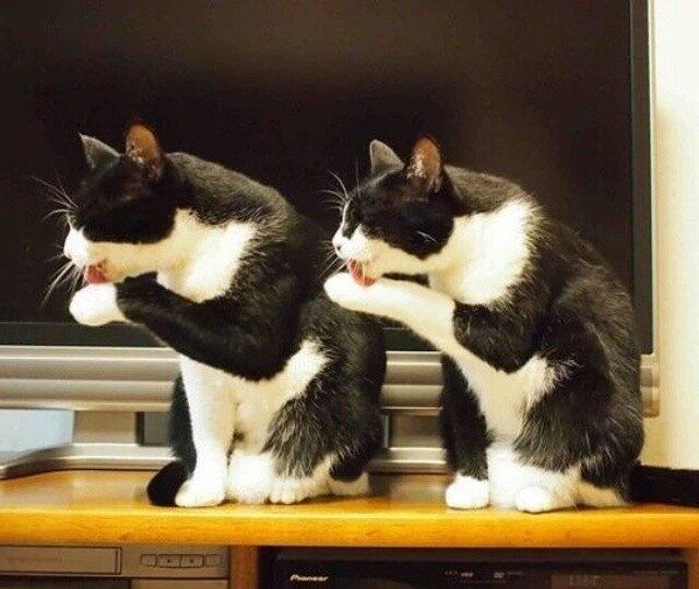 Glitches In The Matrix (18 pics)