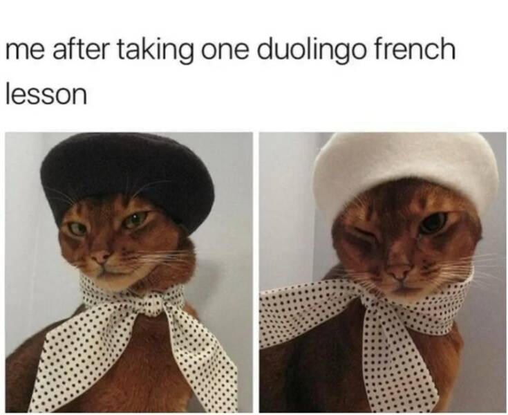 Daily Pictures. Part 2 (67 pics)