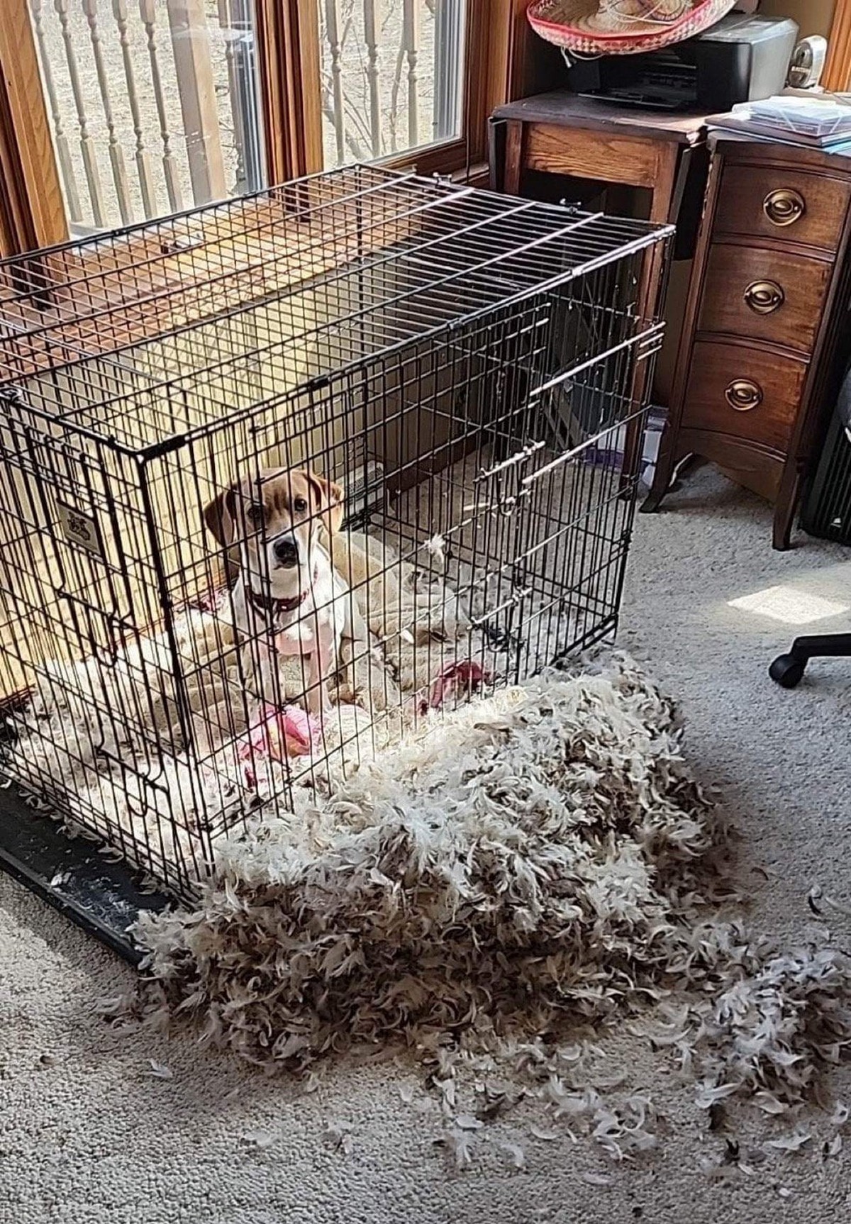 Bad Days Happen (28 pics)