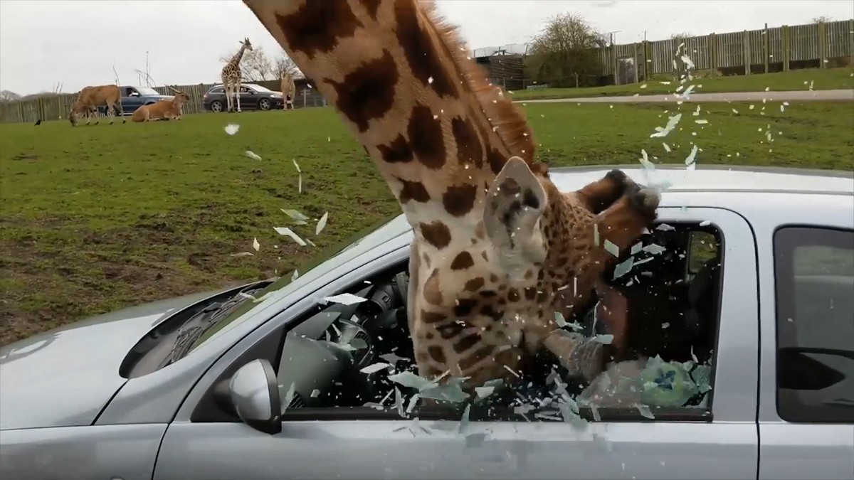 Bad Days Happen (28 pics)