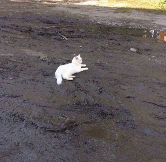 Annoying Situations (15 pics)