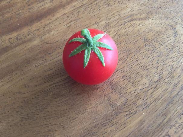 Photos For Perfectionists (17 pics)