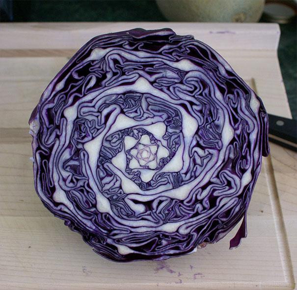 Photos For Perfectionists (17 pics)