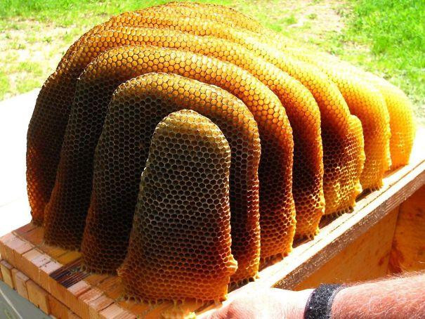 Photos For Perfectionists (17 pics)