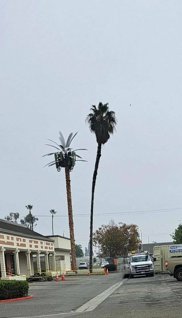 Daily Pictures. Part 1 (59 pics)