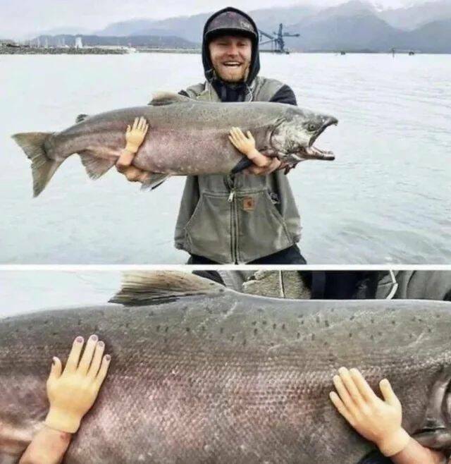 Daily Pictures. Part 1 (59 pics)